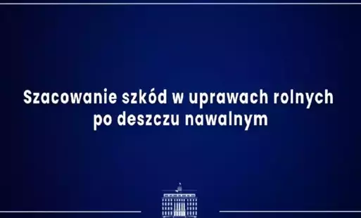 Zdjęcie artykułu z dnia 31-07-2025