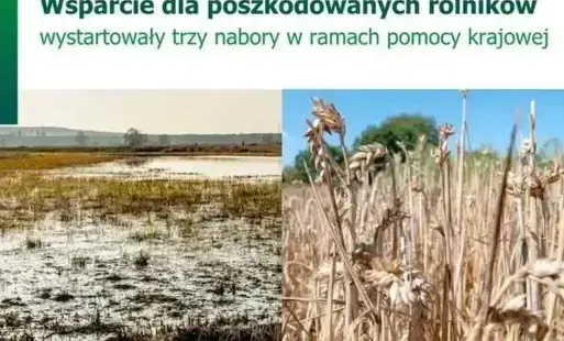 Zdjęcie artykułu z dnia 17-10-2025